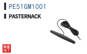 PE51GM1001