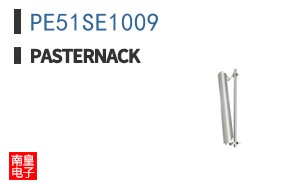 PE51SE1009