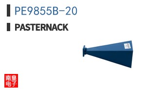 PE9855B-20