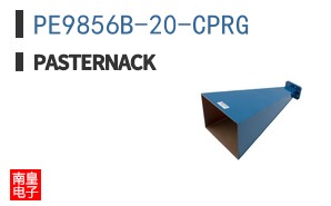 PE9856B-20-CPRG