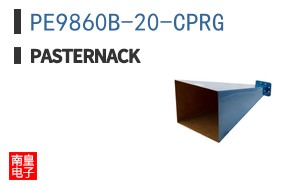 PE9860B-20-CPRG