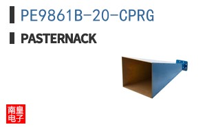 PE9861B-20-CPRG