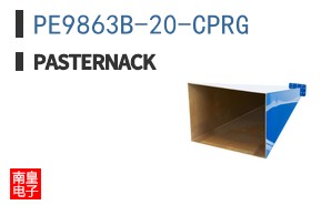PE9863B-20-CPRG
