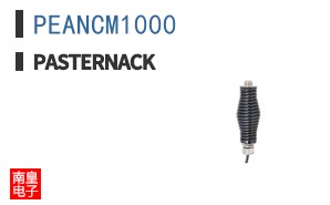 PEANCM1000