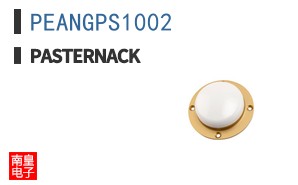PEANGPS1002