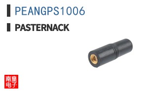 PEANGPS1006