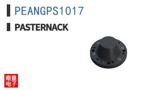 PEANGPS1017