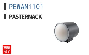 PEWAN1101