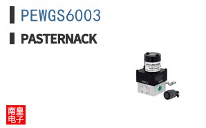 PEWGS6003
