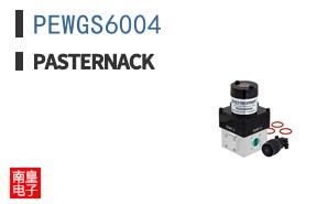 PEWGS6004