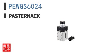 PEWGS6024