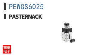 PEWGS6025