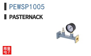 PEWSP1005