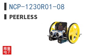 NCP-1230R01-08