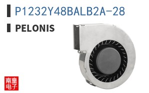 P1232Y48BALB2A-28