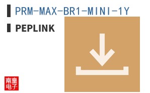PRM-MAX-BR1-MINI-1Y