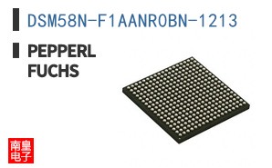 DSM58N-F1AANR0BN-1213