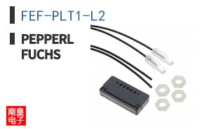 FEF-PLT1-L2