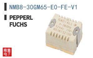 NMB8-30GM65-E0-FE-V1