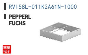 RVI58L-011K2A61N-1000