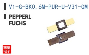V1-G-BK0,6M-PUR-U-V31-GM