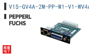 V1S-GV4A-2M-PP-W1-V1-WV4A
