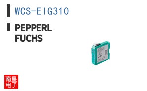 WCS-EIG310