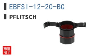 EBFSI-12-20-BG