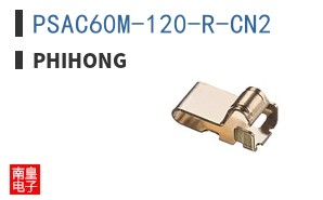 PSAC60M-120-R-CN2