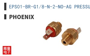 EPS01-BR-G1/8-N-2-NO-AG PRESSURE SWITCH