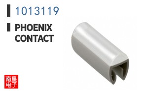 1013119
