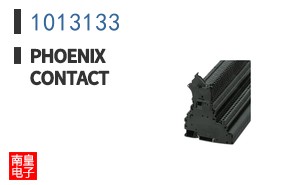 1013133