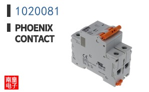1020081