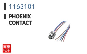 1163101