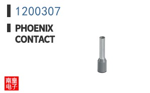 1200307