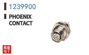 1239900