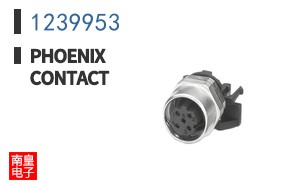 1239953