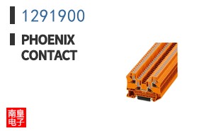 1291900