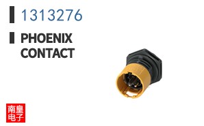 1313276
