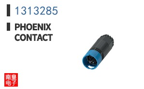 1313285