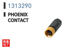 1313290