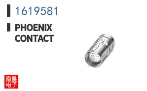 1619581