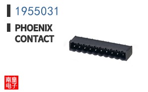 1955031