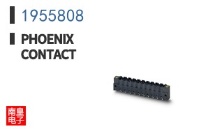 1955808
