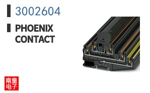 3002604