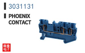 3031131