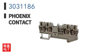 3031186