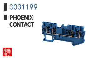 3031199