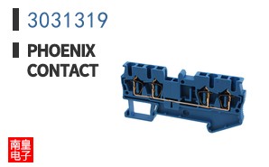 3031319