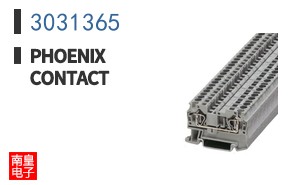 3031365
